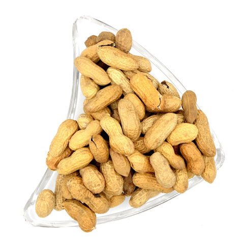 FISTASZKI ORZECHY ZIEMNE W ŁUPINIE 1kg FISTASZKI ORZECHY ZIEMNE W ŁUPINIE 1kg